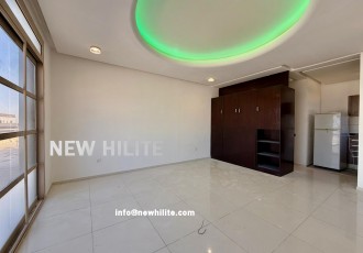 Studio Penthouse for Rent in Salwa